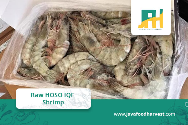 Our Product – CV. Java Food Harvest